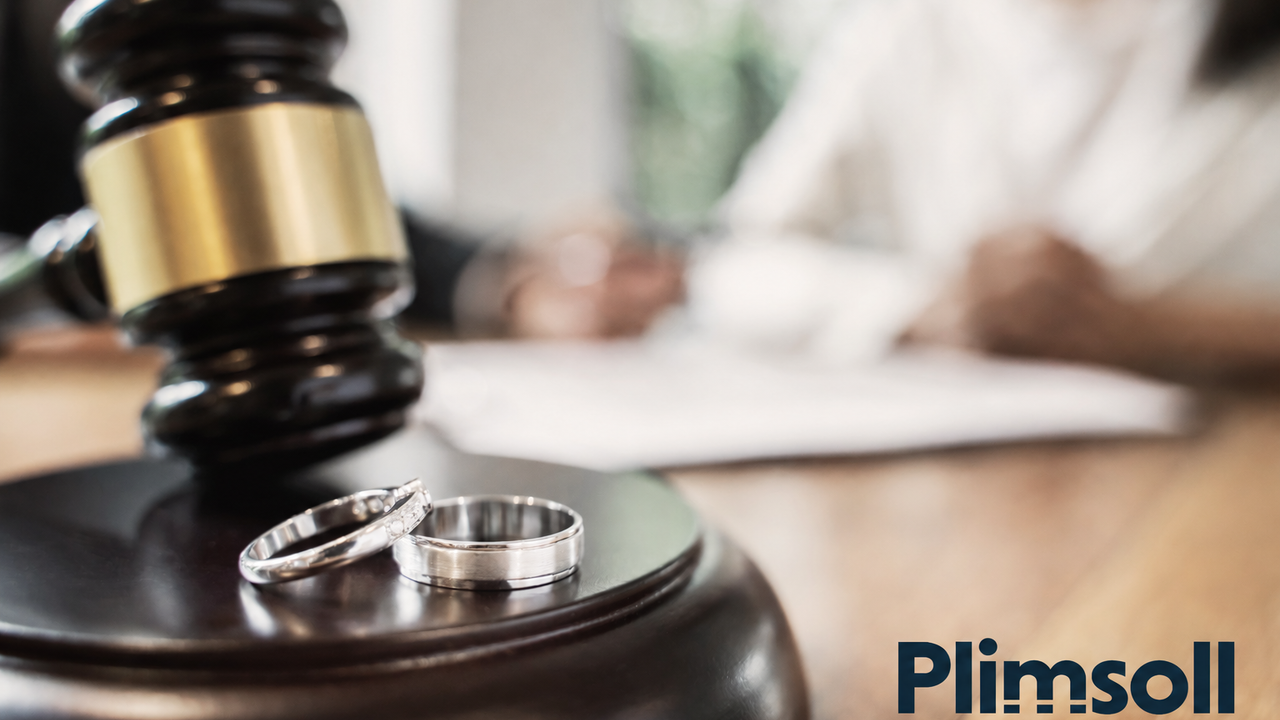 Business Valuation for Divorce: A Plimsoll Guide