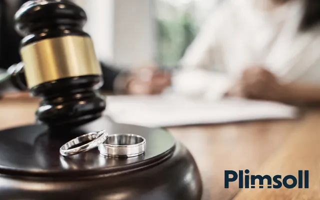 Business Valuation for Divorce: A Plimsoll Guide