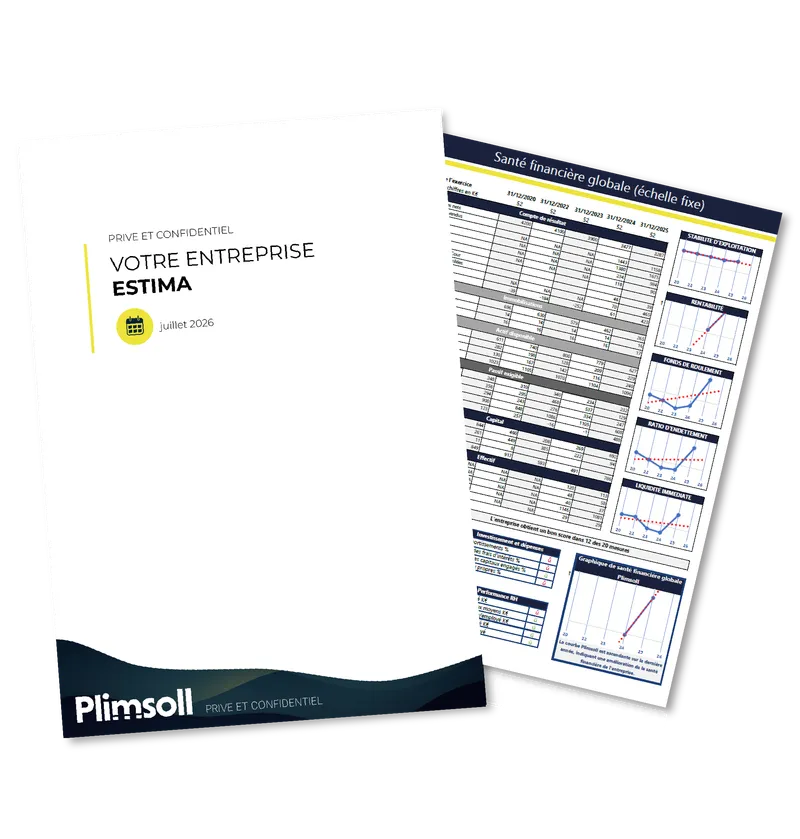 Sample Plimsoll valuation report